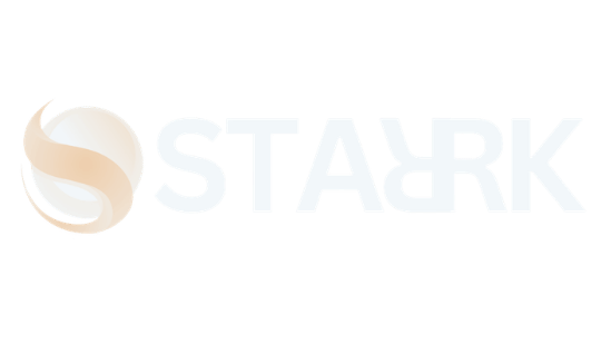 STARRK Webdesign Logo Grau